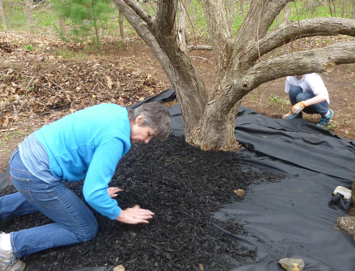Landscaping at the property!
